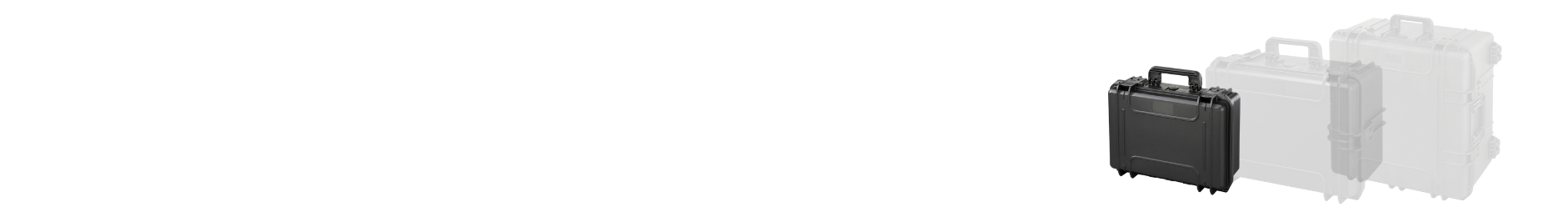 Cases by Size Category