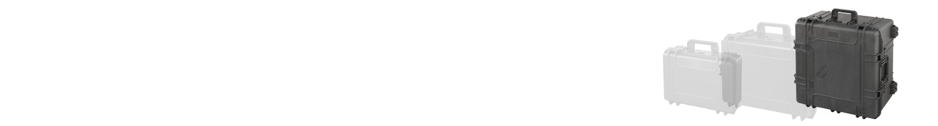 Cases by Size Category