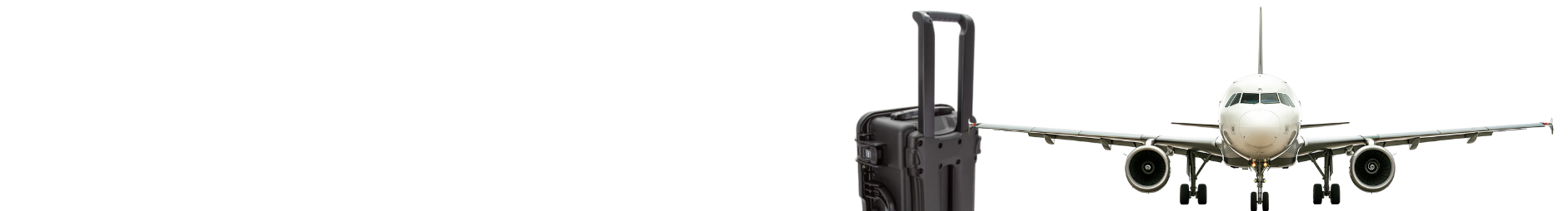 Cases by Size Category