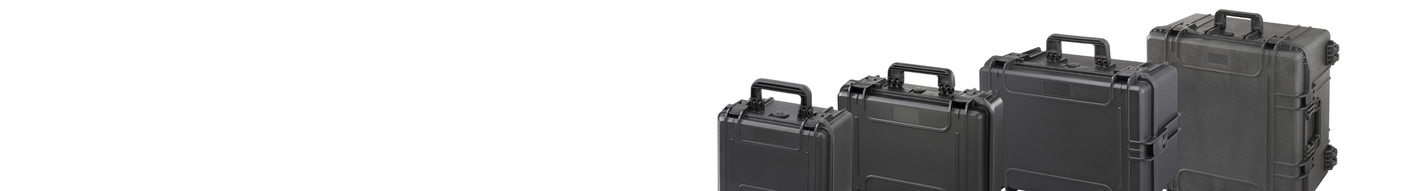 Cases by Size Category