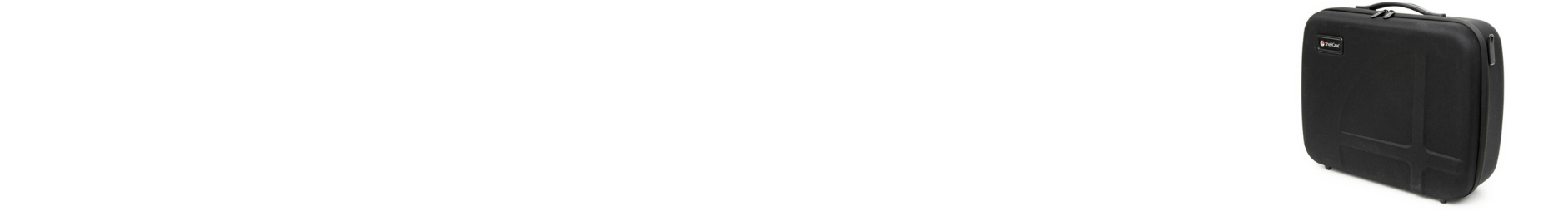 Cases by Size Category