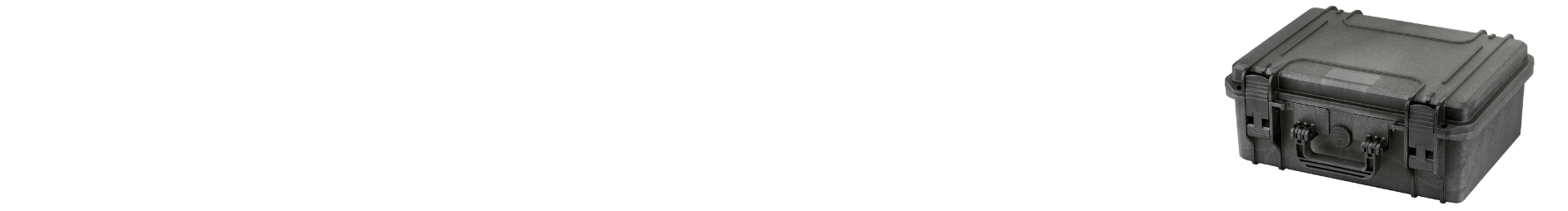 Cases by Size Category