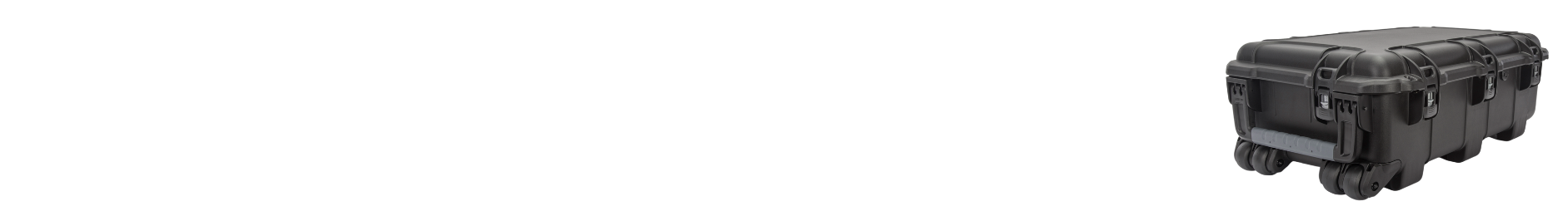 Cases by Size Category