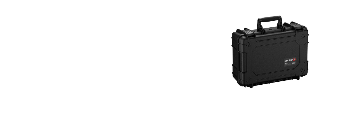 Cases by Size Category