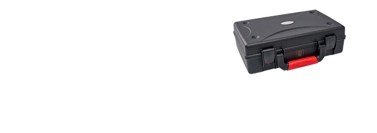 Cases by Size Category