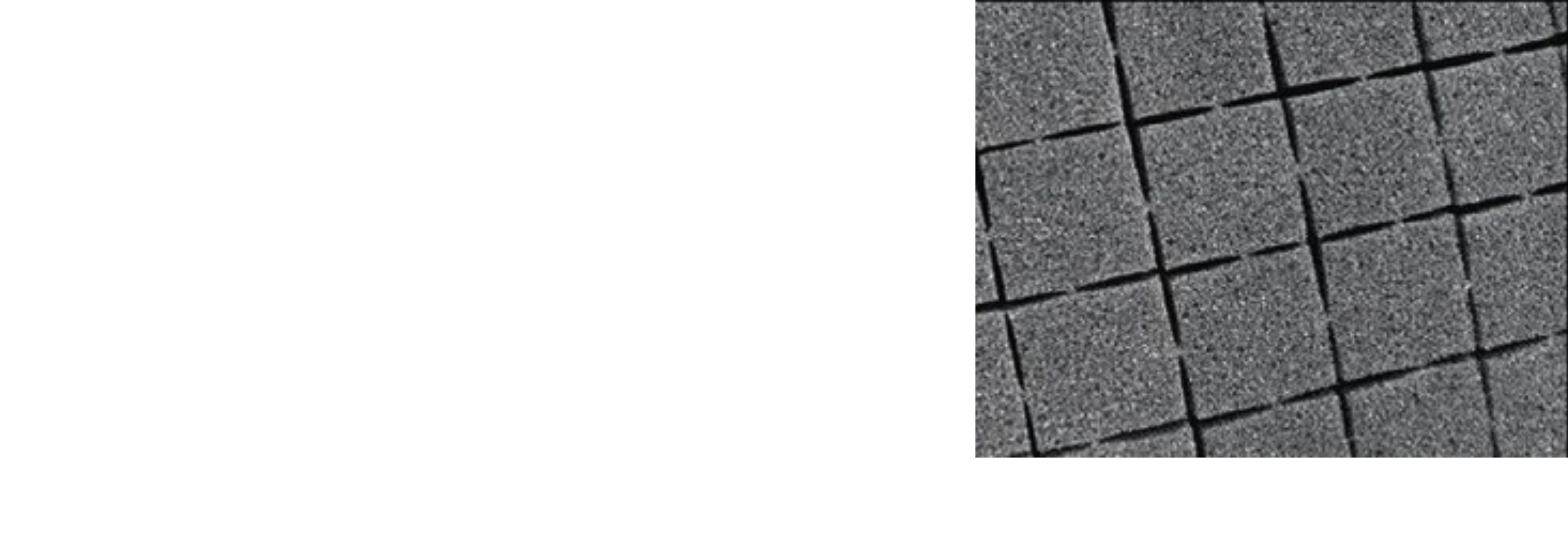 Cases by Size Category