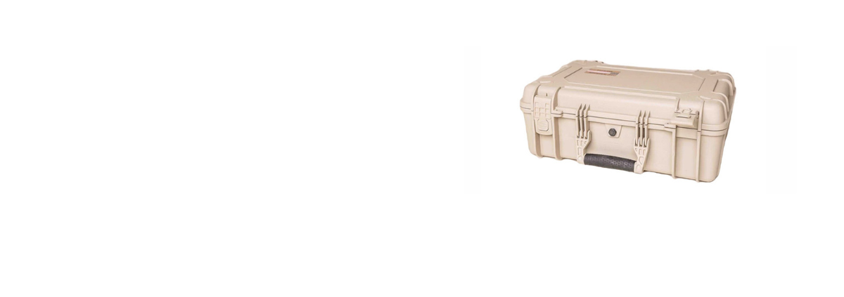 Cases by Size Category